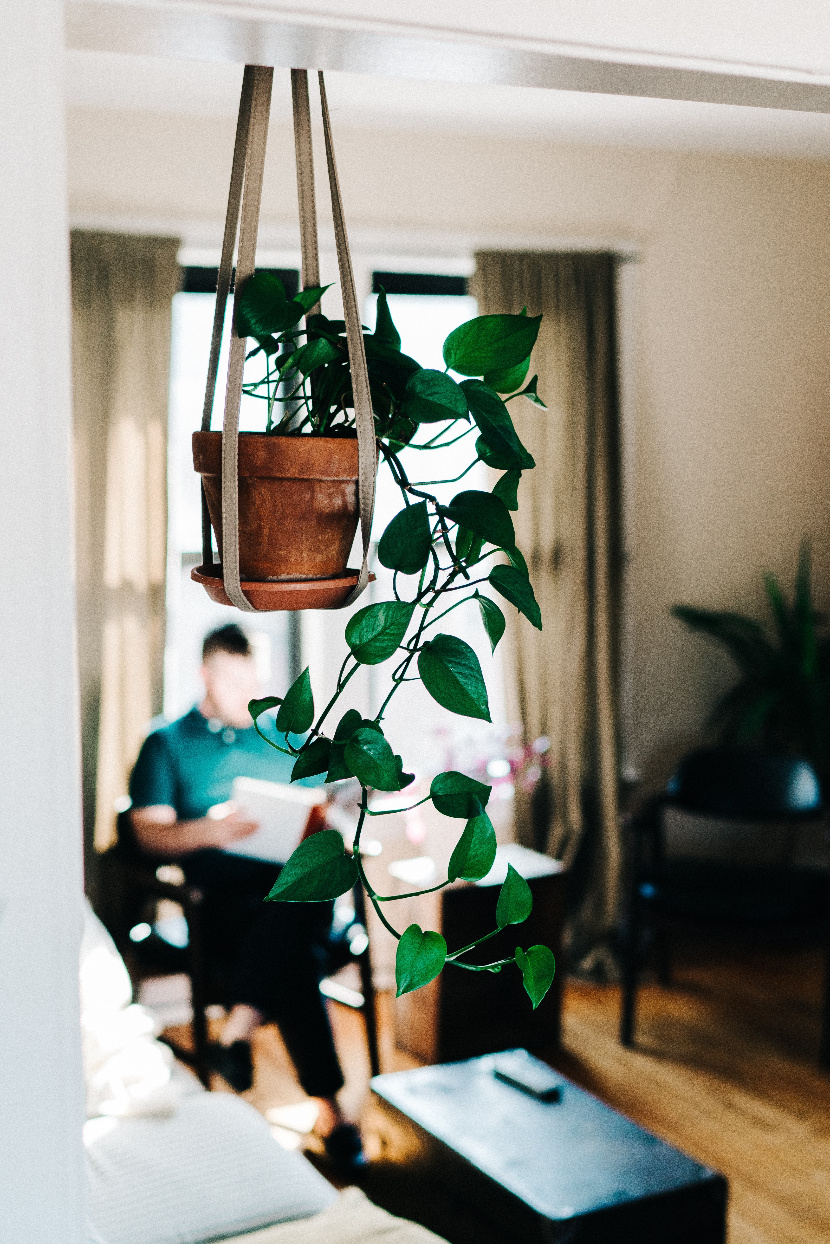 mike-marquez-413829-unsplash